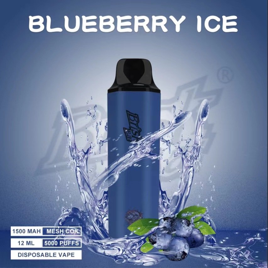 BLUEBERRY-ICE.jpeg BRISK BAR BLUEBERRY ICE – 5000 PUFFS - Image 1