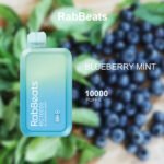 RABBEATS BAR BLUEBERRY MINT – 10000 PUFFS