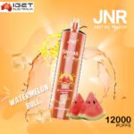 JNR SHISHA HOOKAH – WATERMELON BULL – 12000 PUFFS