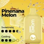 WAKA SMASH PINEANA MELON – 6000 PUFFS