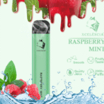 GUNNPOD RASPBERRY MINT – 2000 PUFFS